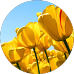 Profile photo of Nidia Cristina Yate Prieto