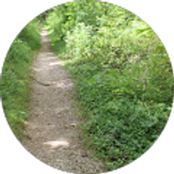 Profile photo of Christian Armstrong