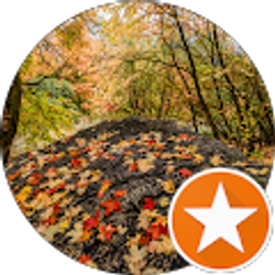 Profile photo of Robert Lowe