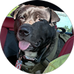 Profile photo of Trang Le