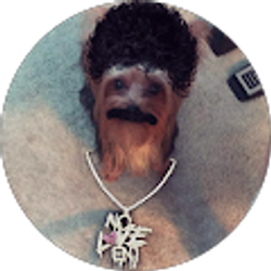 Profile photo of Henry Salinas