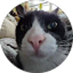 Profile photo of Oliwia Adamiec