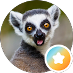 Profile photo of Andrew Andari