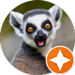 Profile photo of Andrew Andari