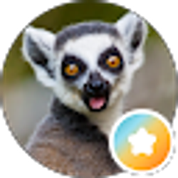 Profile photo of Andrew Andari