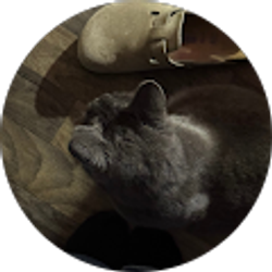 Profile photo of jackie