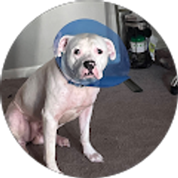 Profile photo of Lillian Wright