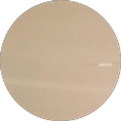 Profile photo of Michael Tascarella