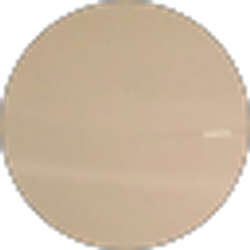 Profile photo of Michael Tascarella