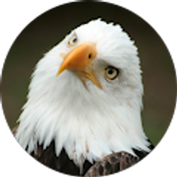 Profile photo of CLIFF73