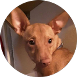 Profile photo of Sean C Galliher