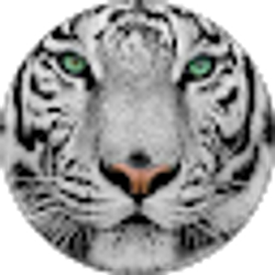 Profile photo of Genesis Ray