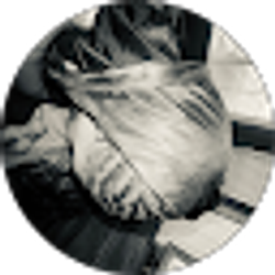 Profile photo of COURSIVE