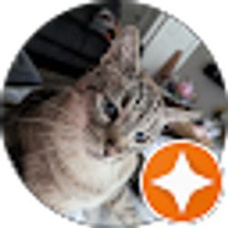 Profile photo of Nessa2020