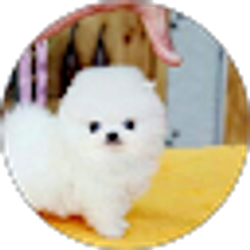 Profile photo of Renee Johnson