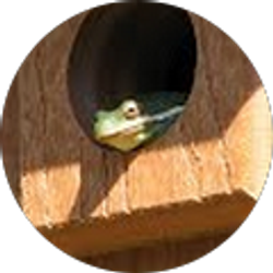 Profile photo of Paula Ingle