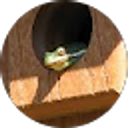 Profile photo of Paula Ingle