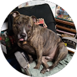 Profile photo of Casey T