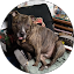 Profile photo of Casey T