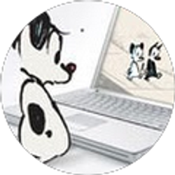 Profile photo of Deb Zirkle