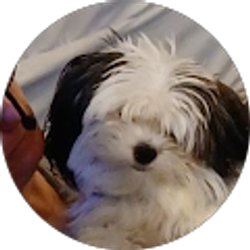 Profile photo of Erm Hicks