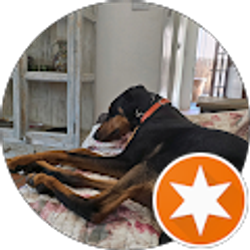 Profile photo of Michele Smith