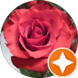 Profile photo of Angelina Cruse