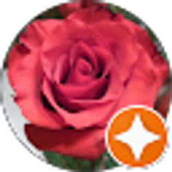 Profile photo of Angelina Cruse