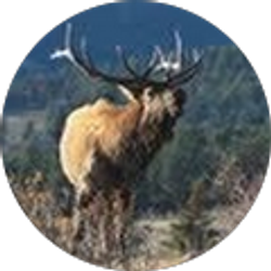 Profile photo of Harry Powers