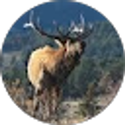 Profile photo of Harry Powers