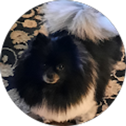 Profile photo of marie vryhof