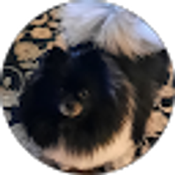 Profile photo of marie vryhof