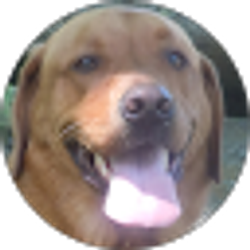 Profile photo of Al Wigglesworth