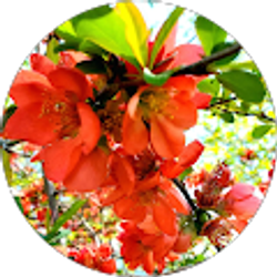 Profile photo of Amber Gibson