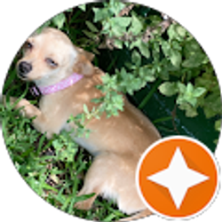 Profile photo of Elizabeth Chavez