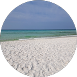 Profile photo of wendy marshall