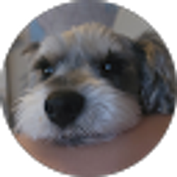 Profile photo of Natalie Haller