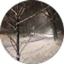 Profile photo of Nerly Papier