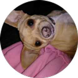 Profile photo of Tina Davies