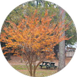 Profile photo of Anastasia Waldman