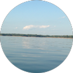 Profile photo of Teyona Byrd