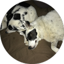 Profile photo of John Seden