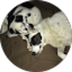 Profile photo of John Seden