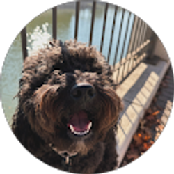 Profile photo of Caylah Chambers