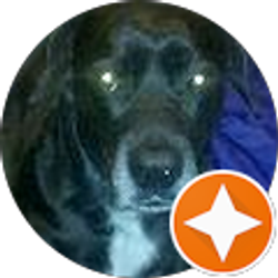 Profile photo of Ryan Schram