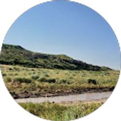 Profile photo of Sam S.