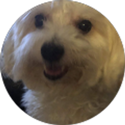 Profile photo of Lisa J