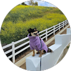 Profile photo of Antonio Solis