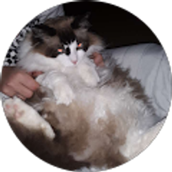 Profile photo of Ashton Swendra