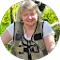 Profile photo of Kris Montee